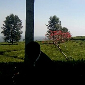 Arief feirA