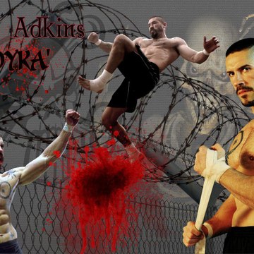 videos virales actuales