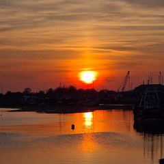 Eccentrica Britannica