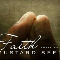 Remnant Ministries - Educational Resources