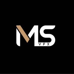 MS VFX