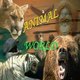 Animals-World