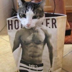 comedy & funny clips and games and more news