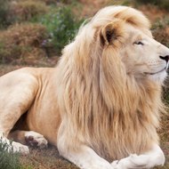 ▩Red Fabio Parrinello▩