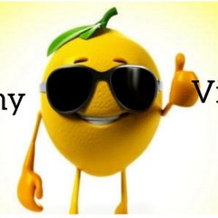 Funny Videos
