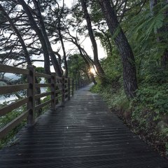日陽 本間