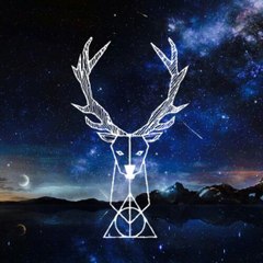 RudimentaryInc