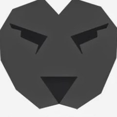 Brainlion Group WTV