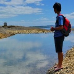 My Auckland