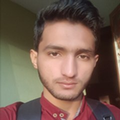 Hamza Gulzar