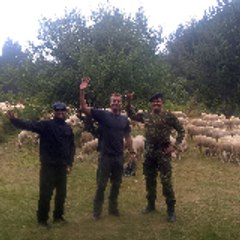 Anthony Georgopoulos