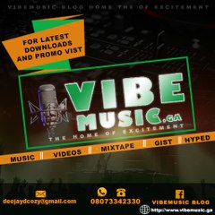 Vibemusic Inc