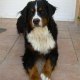 Florie