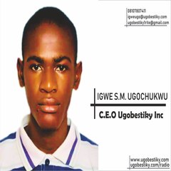 Ugobestiky Blog Hub