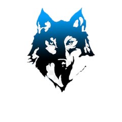 TheWolf97