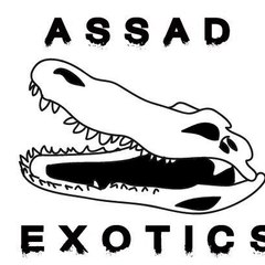 David Ibañez Assad