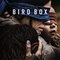 bird box netflix,bird box ending explained