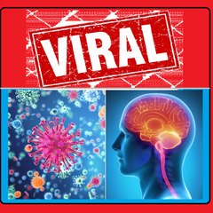 Viral Mind