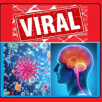 Viral Mind