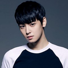 VIKI