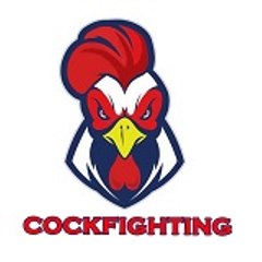 ĐÁ GÀ - COCKFIGHTING