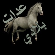 عا دات بلادي