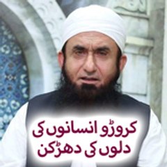 Tariq Jameel Official LIVE