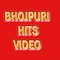 Bhojpuri hits video