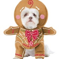 Pupmastics