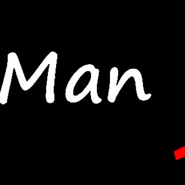 Wise Man Diary