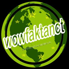 WOWFAKTANCT