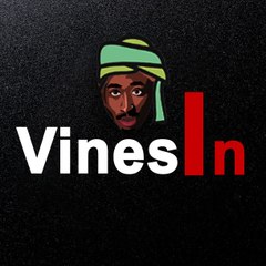 Vinesin