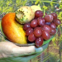 Fruits of Islam and Life
