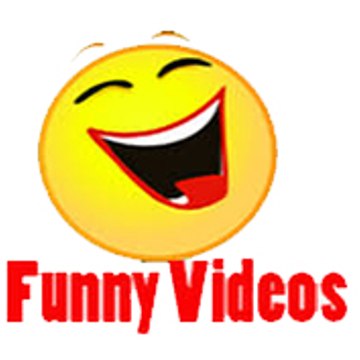 funny videos