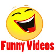 funny videos