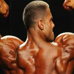 Bodybuilding valley