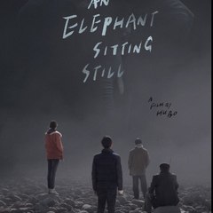 An Elephant Sitting Still Movie / HD