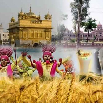 punjab 9
