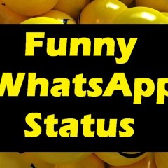 WhatsApp Status Video