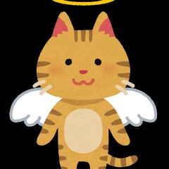 japan cat move
