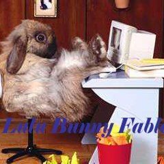 lulubunnyfables