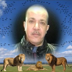 WaelShehata