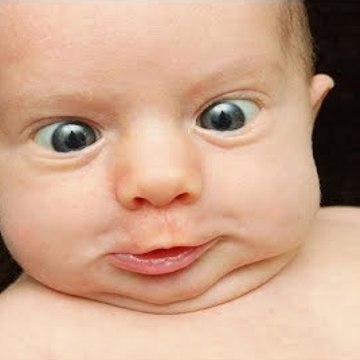 Funny Fails Baby Video