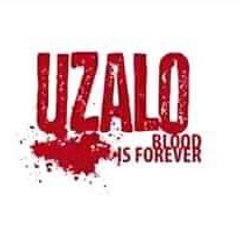 Uzalo official Tv