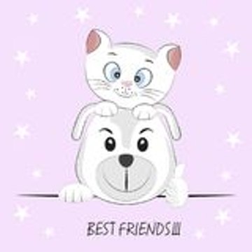 Funny Animal Moment