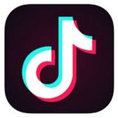 Top Best TikTok