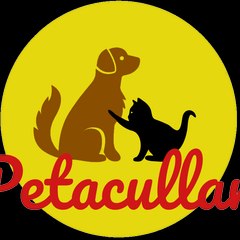 Petacullar