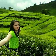 liana offcial