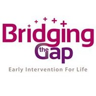 Bridging the Gap