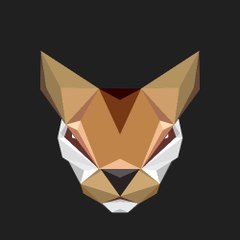 WilyCatMedia